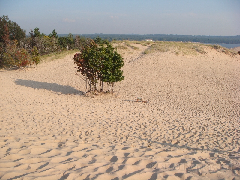 Western Michigan [2009] 060.JPG - Scenes from Silver Lake State Park, Michigan.